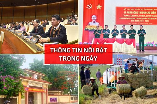 Nghệ An: Thông tin nổi bật ngày 20/5