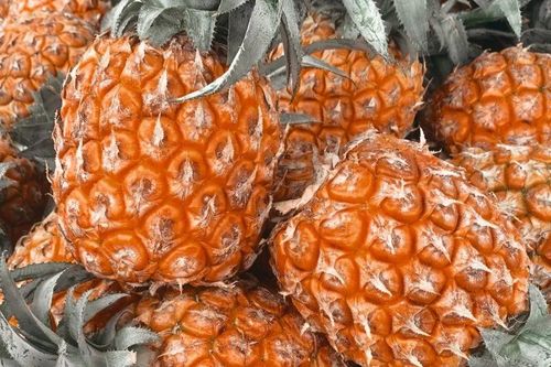 Chuyên gia khuyên bạn nên ăn dứa mỗi ngày vì lý do này