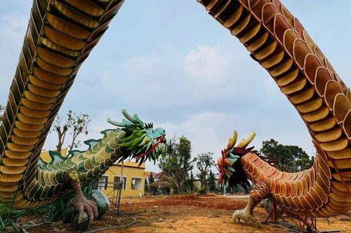 Lâm Đồng: Doanh nghiệp bị xử phạt vì dựng mô hình rồng không phép