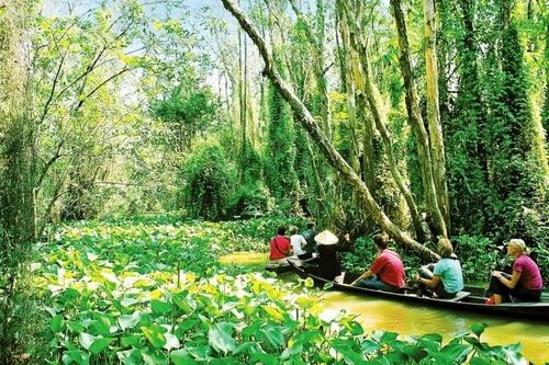 Tăng giá trị đa dụng của hệ sinh thái rừng
