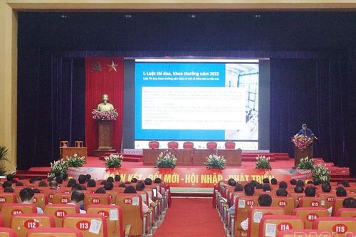 Gần 300 đại biểu tham gia tập huấn về công tác thi đua, khen thưởng năm 2024