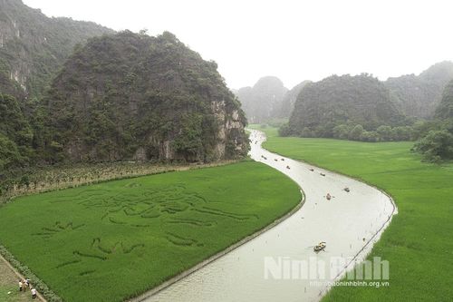 Ninh Hải sẵn sàng cho Tuần Du lịch Ninh Bình