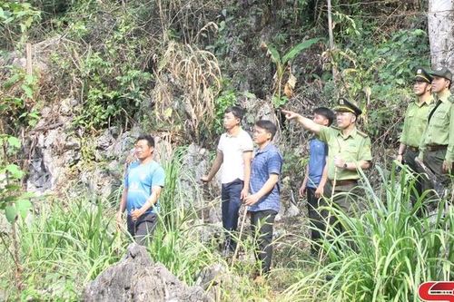 Thực hiện tốt vai trò nòng cốt trong quản lý, bảo vệ rừng
