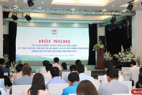 Hội nghị tập huấn nghiệp vụ Quỹ hỗ trợ nông dân