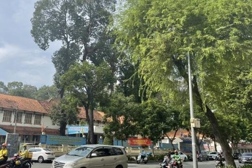 TP. Hồ Chí Minh: Chi 350 tỷ đồng cải tạo các 'điểm đen' giao thông