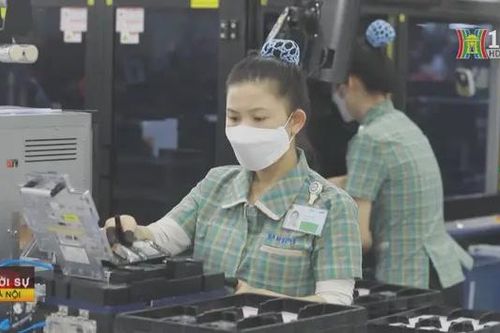 10 địa phương chiếm 70% kim ngạch xuất khẩu cả nước