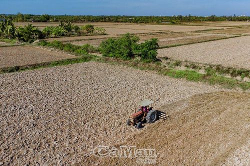 Nông dân chủ động vụ hè thu