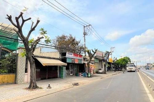 Kỳ 1: Bức xúc vì cây xanh bị 'cạo trọc', xâm hại