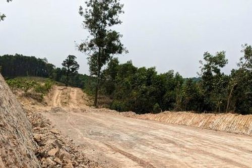 Quảng Trị: Một doanh nghiệp bị xử phạt vì san ủi rừng tự nhiên
