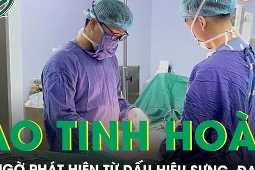 Sưng đau bìu trái, khám phát hiện lao mào tinh hoàn