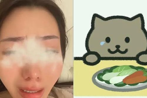 Mới nhất về vụ Mèo Béo nhảy cầu: Douyin chị gái 'bay màu', Đàm Trúc thế nào?