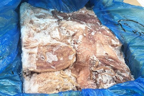Thu giữ gần 12 tấn dạ dày heo nhập lậu sắp đi tiêu thụ ở Hà Nội