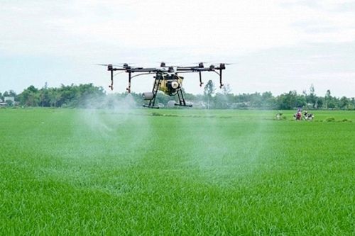 Hà Nội: Drone/UAV sẽ thay thế nông dân phun thuốc bảo vệ thực vật