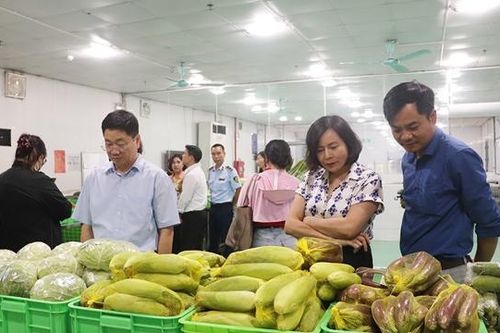 Hà Nội: xử phạt nhiều cơ sở vi phạm an toàn thực phẩm