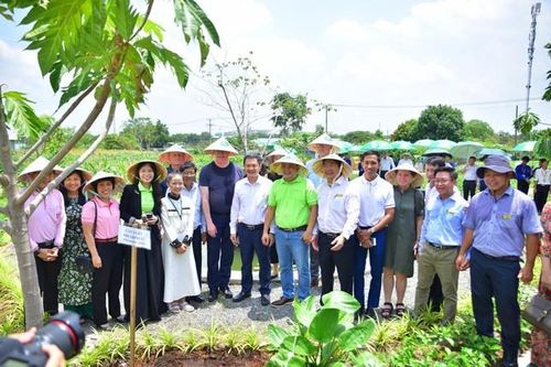 Trường đại học ra mắt mô hình 'Vườn thực phẩm cộng đồng'