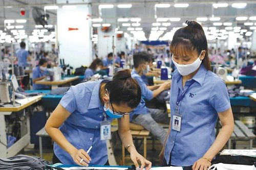 Tổ chức Diễn đàn 'Nâng cao năng suất lao động quốc gia năm 2024'
