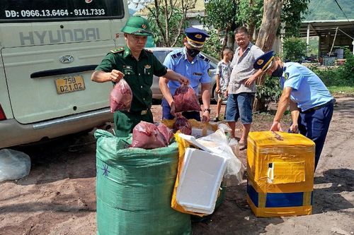 Bắt vụ vận chuyển 350kg nội tạng động vật không rõ nguồn gốc xuất xứ