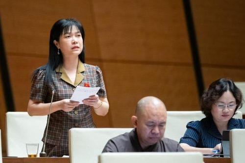 Đại biểu Quốc hội đề nghị tạo điều kiện cho dịch vụ chia sẻ chuyến xe dưới 10 chỗ được hoạt động