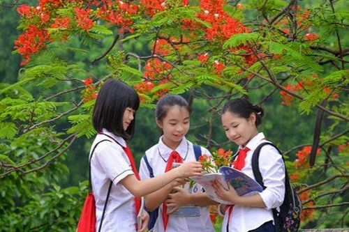 Trả lại mùa hè cho trẻ