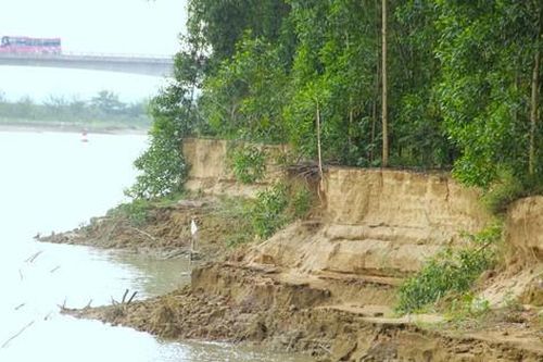 Sạt lở bờ sông Lam, mỗi năm 'nuốt chửng' cả nghìn mét vuông đất