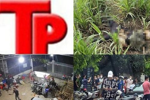 Bản tin Hình sự: Học cách lắp ráp súng trên mạng để bán kiếm lời