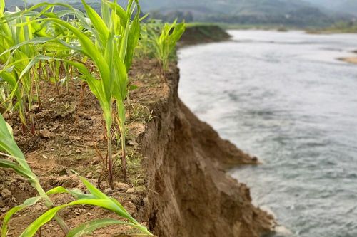 Dân lo lắng khi sông lấn làng, 'nuốt' đất sản xuất ở Hà Tĩnh