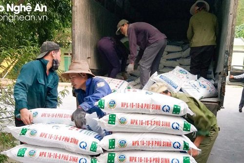 Nông dân Nghệ An chủ động ứng phó khi giá phân bón rục rịch tăng trước vụ hè thu