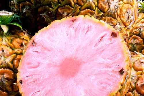 Thị trường trái cây đặc sản Mỹ: 'Đuổi' không hết người mua