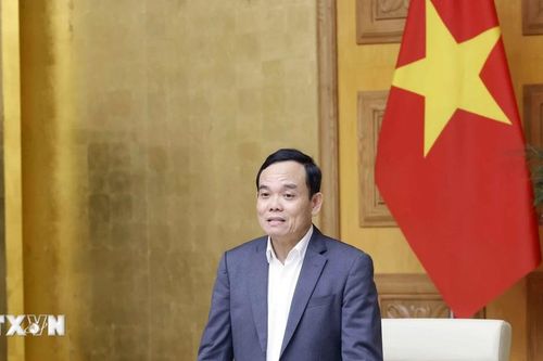 Kiện toàn thành viên Hội đồng thẩm định Quy hoạch Lâm nghiệp Quốc gia