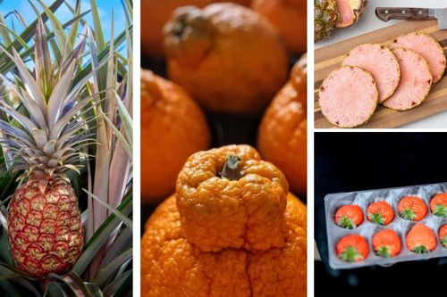 Trào lưu hoa quả thượng lưu siêu đắt đỏ xuất hiện tại Mỹ