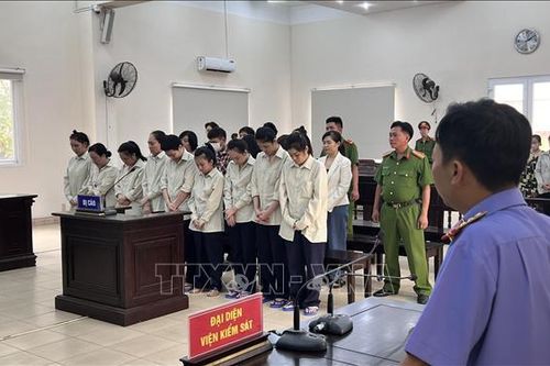 Tuyên án hàng loạt bị cáo mua bán người dưới 16 tuổi