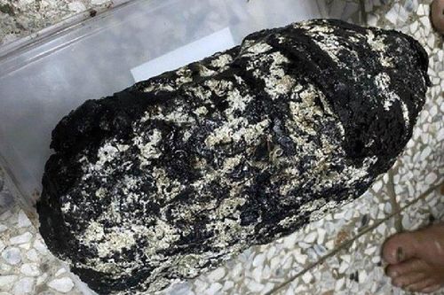 Đánh cá ngoài biển, ngư dân nhặt được thứ trị giá 5 tỷ đồng