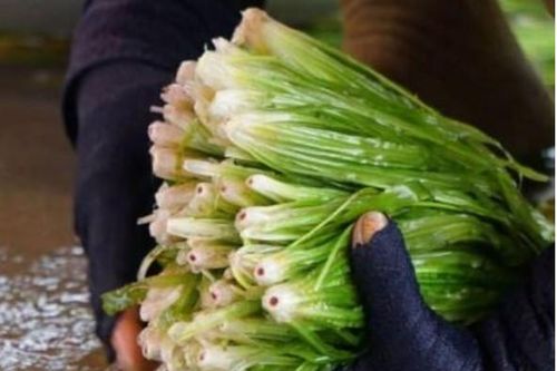 Có 1 loại hẹ sống ở dưới nước: Là đặc sản sống ở miền Tây chỉ có vào mùa lũ, giúp mát gan, lợi tiểu