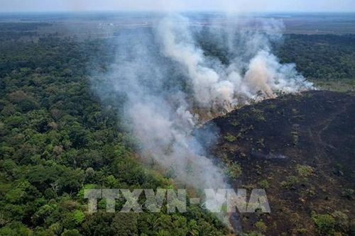 Diện tích cháy rừng Amazon tại Brazil cao kỷ lục trong 25 năm
