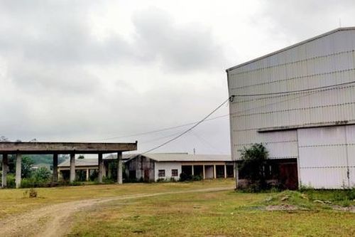 Nghệ An: 'Siêu dự án' biến 33 ha đất sản xuất thành bãi đất hoang