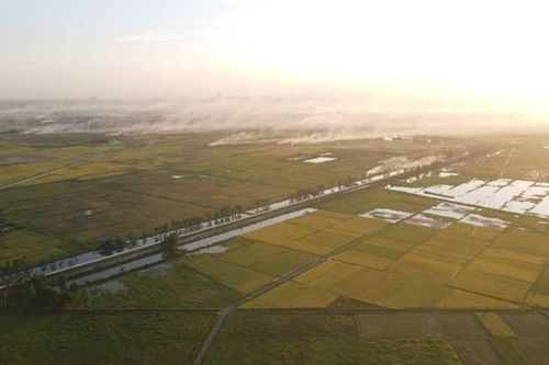 Kinh tế tuần hoàn 'cứu' Đồng bằng sông Cửu Long