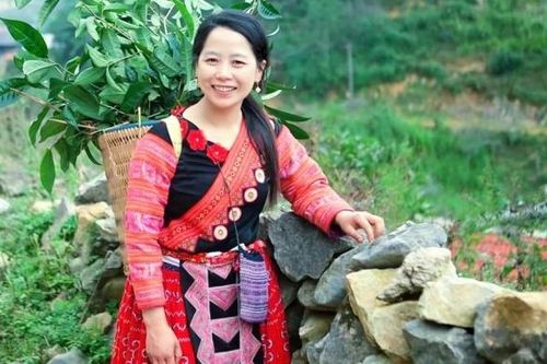 Hòa Bình: Chuyện của Y Múa, cô gái người Mông đầu tiên bén duyên làm homestay