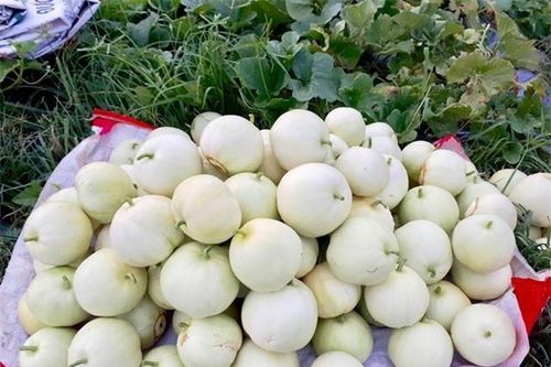 Giá nông sản hôm nay ngày 21/5: Giá sầu riêng tiếp tục tăng vọt, nhãn trái vụ giá bán cao