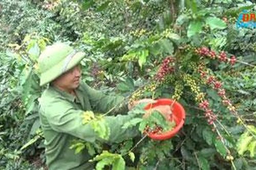 Đưa nông nghiệp phát triển bền vững