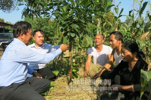 Phát triển khoa học và công nghệ: Thúc đẩy phát triển kinh tế - xã hội trên địa bàn tỉnh