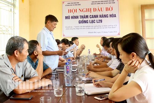 Hội thảo đầu bờ mô hình thâm canh hàng hóa giống lạc L29 tại tỉnh Ninh Bình
