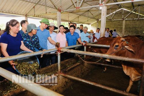 Hội Nông dân tỉnh tổ chức tham quan, học tập kinh nghiệm mô hình xử lý rác thải hữu cơ thân thiện với môi trường