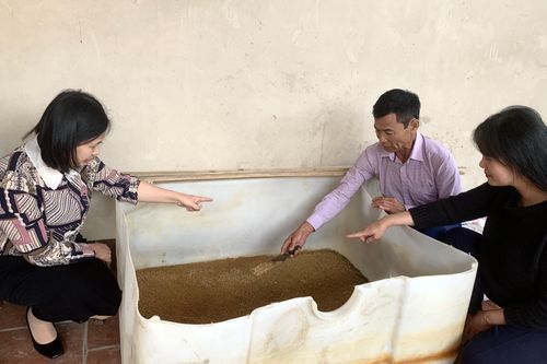 Lợi ích từ nuôi sâu canxi