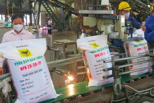 Các doanh nghiệp phân bón đồng loạt đón tin vui trong quý đầu năm 2024