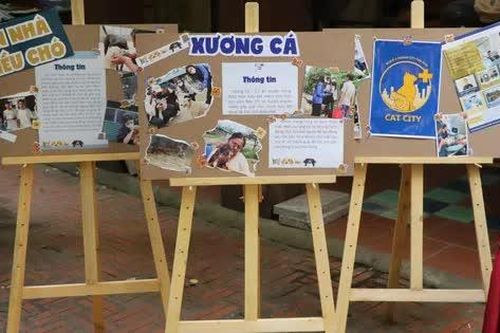 Sinh viên Báo chí bán hàng gây quỹ ủng hộ cho trạm cứu hộ chó mèo