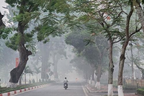 Nghệ An: Nguy cơ ô nhiễm môi trường từ tình trạng đốt rơm rạ sau vụ mùa