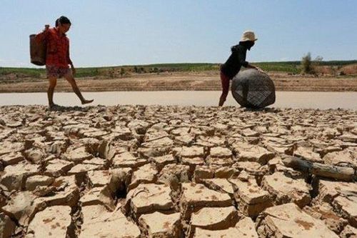 Ninh Thuận: Chủ động triển khai các giải pháp ứng phó với hạn hán, thiếu nước