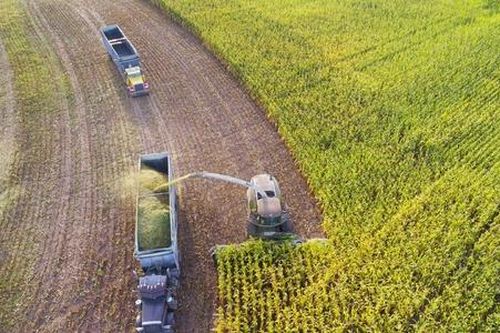 Đường dài để HTX có được những cánh đồng cơ giới hóa đồng bộ