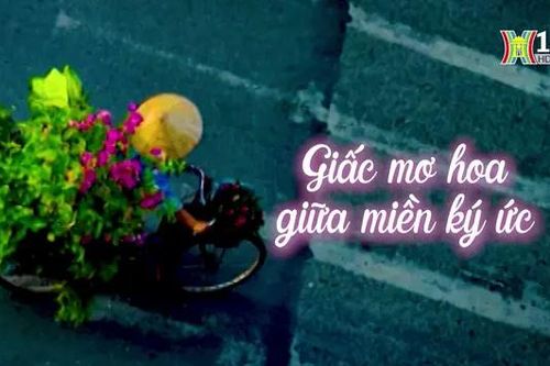 Giấc mơ hoa giữa miền ký ức