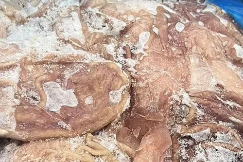Phát hiện gần 12 tấn thực phẩm đông lạnh nhập lậu